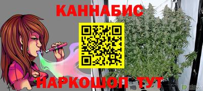 индика Нарткала