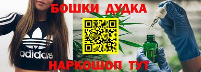 индика Нарткала