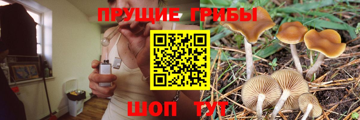 Великий Новгород  Псилоцибиновые грибы мухоморы  Вход с VPN 