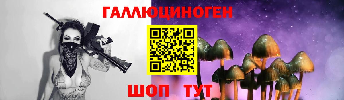 Псилоцибиновые грибы Magic Shrooms Великий Новгород