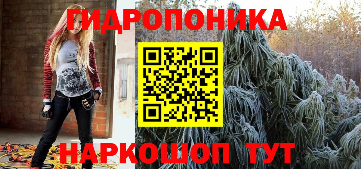 Бошки марихуана гибрид Великий Новгород